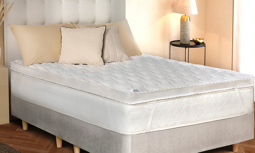 Image 1: Sealy Luxury Sealy Deeply Full Pillows, Duvets or Mattress Topper