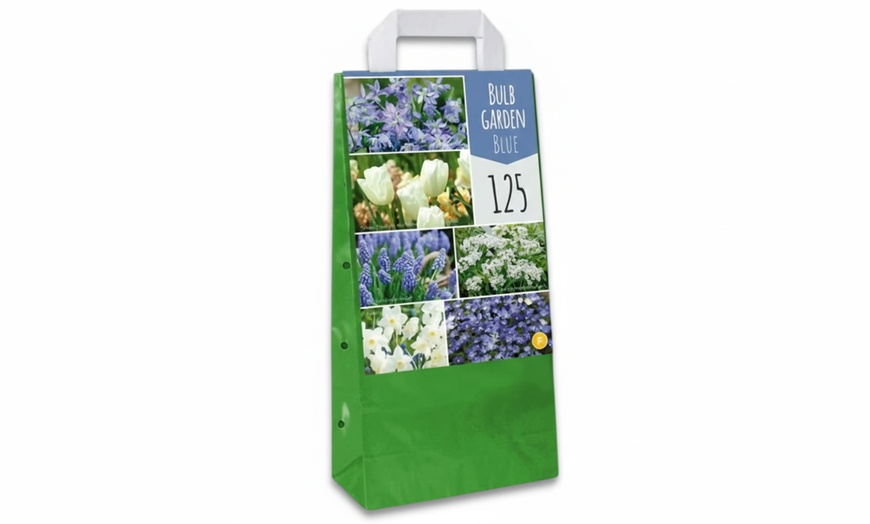 Image 5: 125 o 250 mix di bulbi colorati