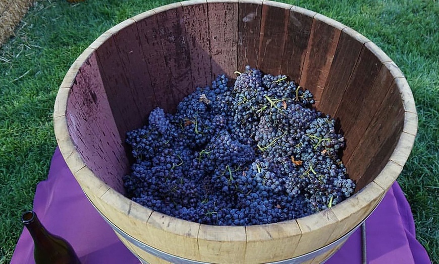 Image 24: Member-Only Deal: Sip, spa & stay - Temecula vineyards