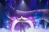 Gazillion Bubble Show (Through January 4, 2026)