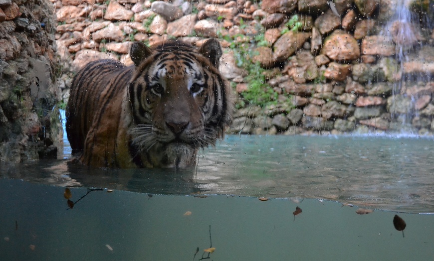 Image 12: Visita al Zoo Castellar