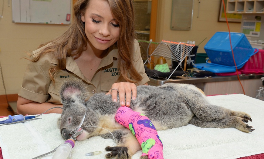 Image 5: Admission and Hospital Sneak Peek to Australia Zoo