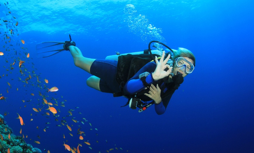 Image 1: Bautismo de buceo en piscina con instructor para 1 o 2 personas 