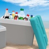 Image 12: Insulated Cooler Ice Box and Optional Ice Blocks 15L, 24L, 35L
