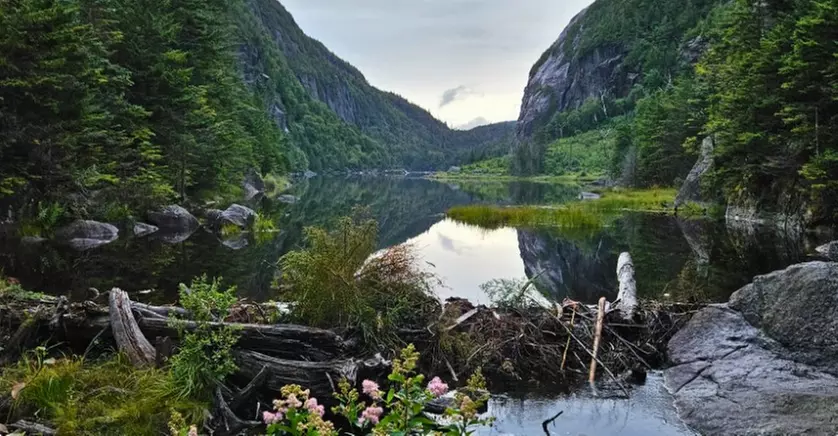 Guided Fly Fishing and Scenic Float Trips in Dunmore, PA