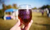 Festival of Grapes and Hops on September 20, 2025 (Up to 28% Off)