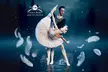 „Schwanensee“ mit dem Crown Ballet & großem Orchester in 10 Städten ( bis 31% sparen) - Second Medium