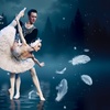 Image 2: „Schwanensee“ mit dem Crown Ballet: Ticket vom 09.12.2025-10.01.2026