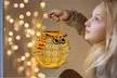 2 Pack Hanging Solar Lanterns Owl Pattern Pathway Decorative Lantern Lights - Second Medium