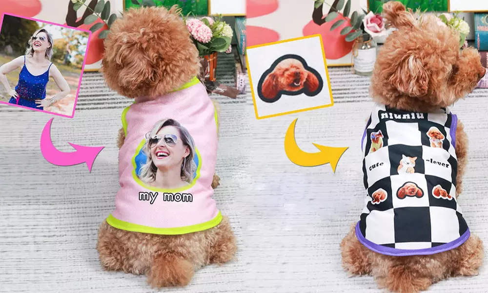 Custom Pet Fashion – Pawsome Style & Comfort Tailored Just for Them