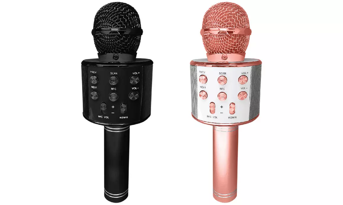 2BOOM Wireless Karaoke Microphone with Carrying Case - Primary Image