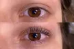  Achieve Stunning Lashes with One Lash Lift with or without Tint (Up to25% Off) at Deka Lash - Greentree, PA - Second Medium