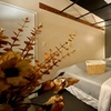 Image 4: Your Private Escape: 60 or 90-Minute Professional Massage 