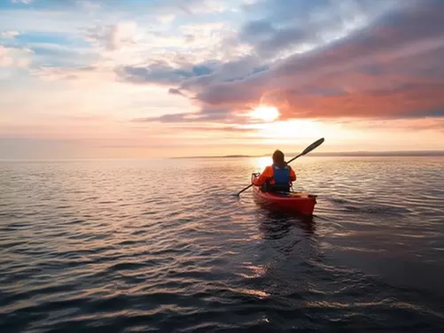 Ride, Splash & Explore with Dubai Water Adventure Experiences