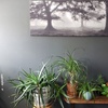 Image 5: Up to 51% Off on  at Empowerment Rolfing