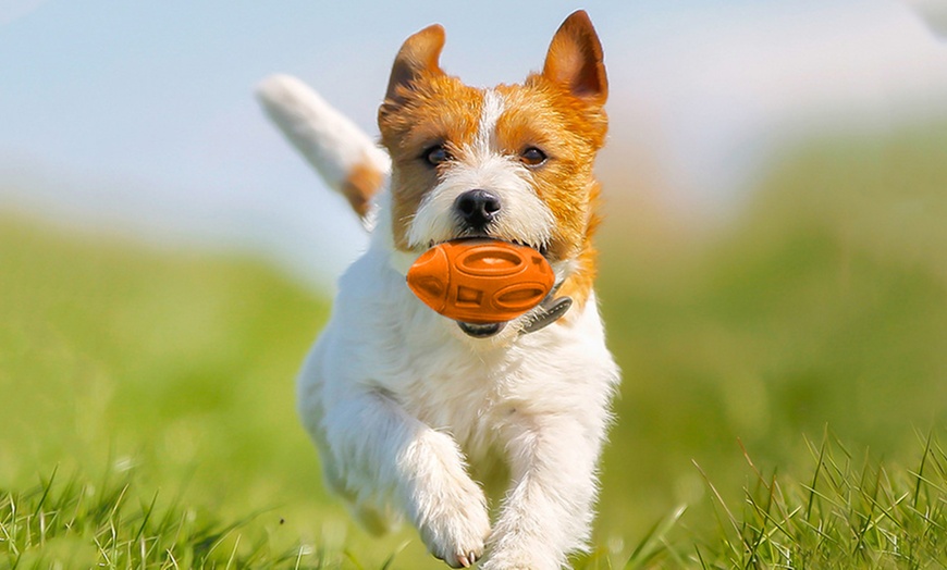 Image 10: Puppy Chew Ball Toy: 1 Pc - Blue or Orange