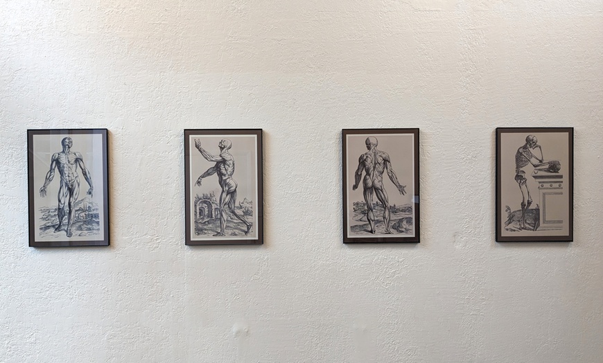 Image 2: Transform your movement with Rolfing massage