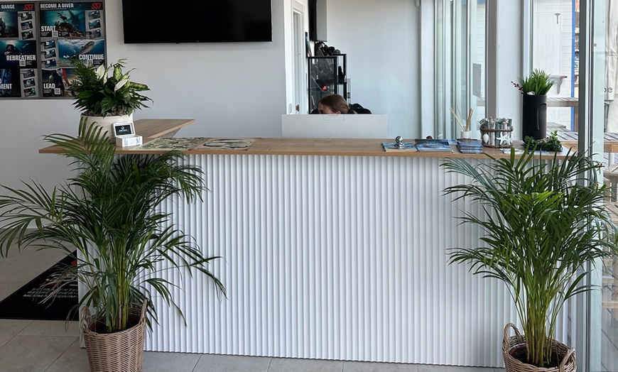 Image 5: Bautizo de buceo o excursión snorkel con fotos 