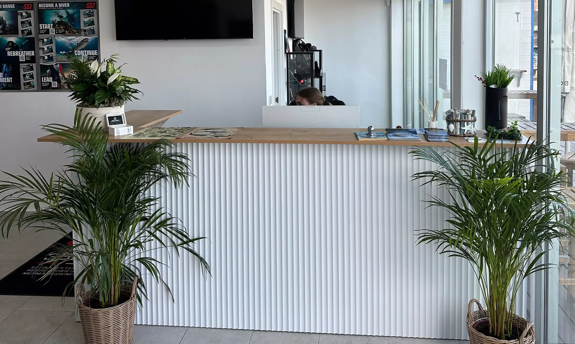 Bautizo de buceo o excursión snorkel con fotos