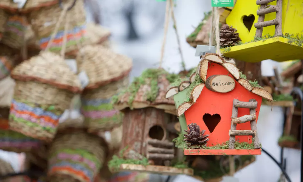 Adult Ticket to BBC Gardeners’ World |18-21 June 2026|Thurs,Fri/Sunday