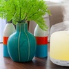 Image 5: Aromatherapie-Diffusor mit LED-Beleuchtung und Fernbedienung
