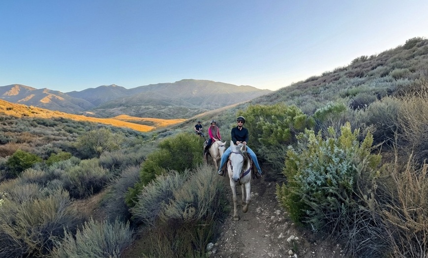 Image 4: Guided Horseback Riding: Sunset, Adventure & Beach Trails