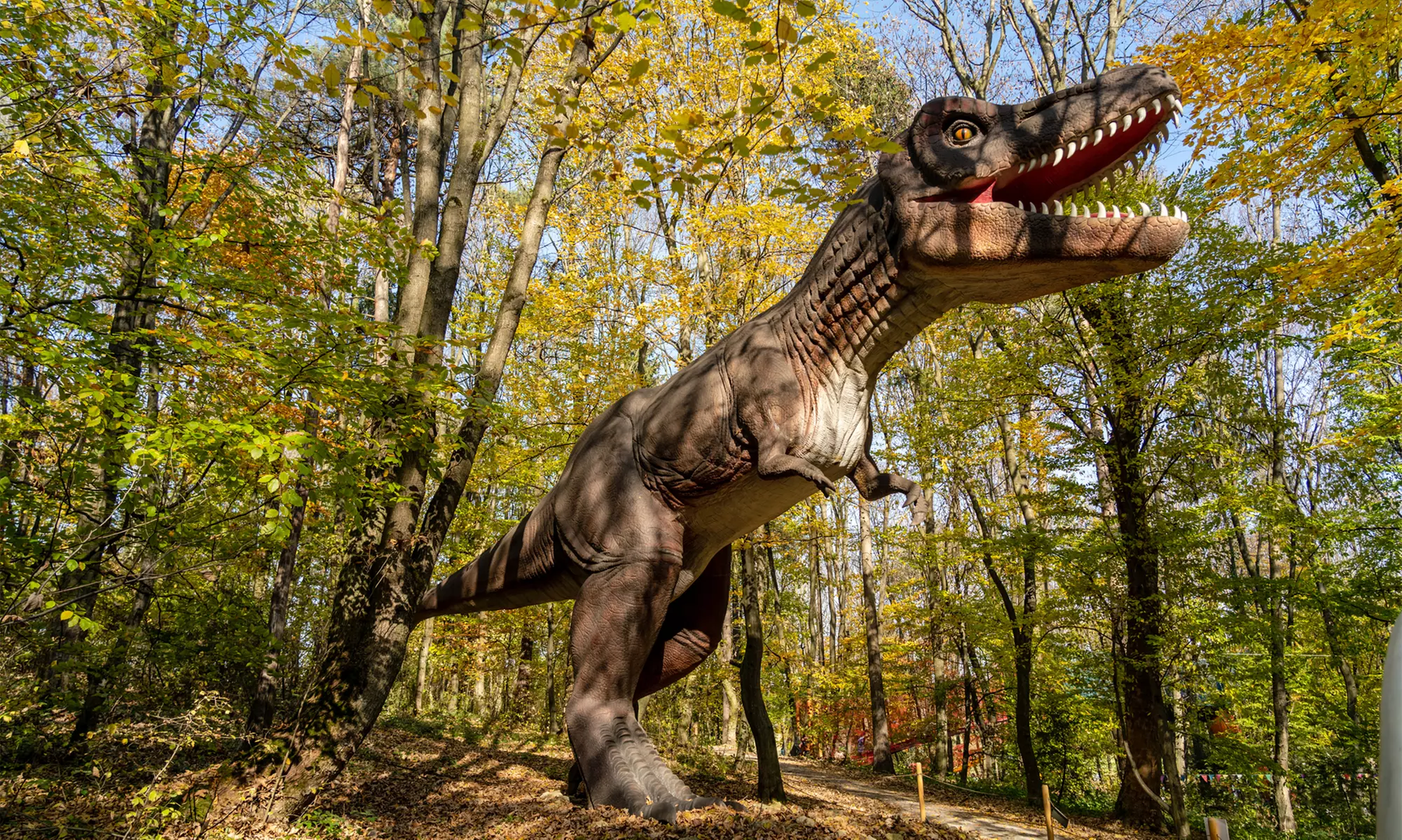 Safari animalier près de Paris avec accès Terre de Singes