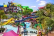 Dive into Endless Adventure & Discover South Florida's Best Spots with GetOutPass for One (Up to 35% Off) - Second Medium