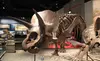 Uncover Wonders at the Field Museum with an Audio Guide -  0% Off