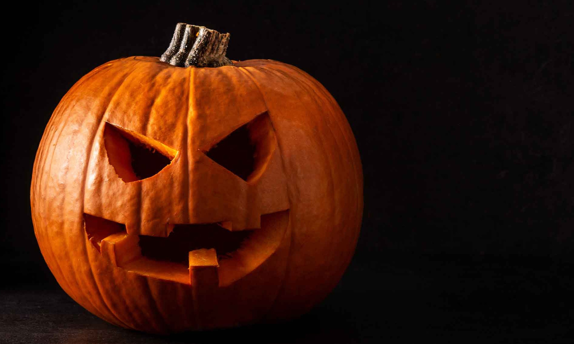 Turf or Treat Admission I Trick-or-Treat Walk + Unlimited Play