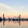 Image 5: Westshore Marina District Guided Kayak & Standup Paddleboard Rentals