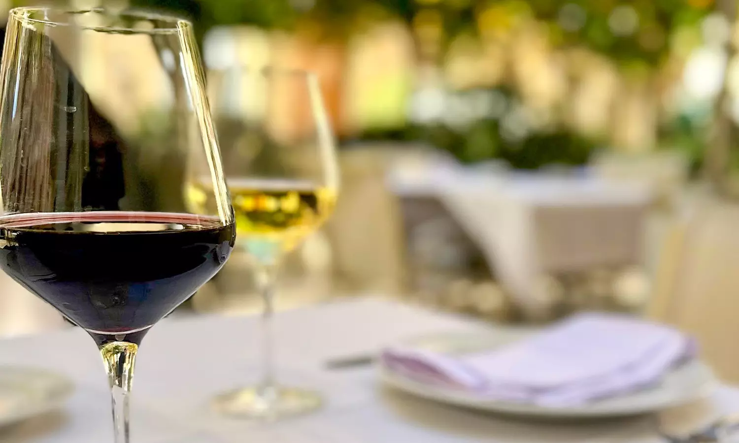 Cata de vinos maridados con vista a la Almoina y tabla de ibéricos