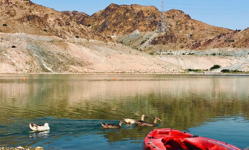 Image 3: Zipline Thrill Experience at Fujairah Adventure Park