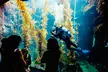 Hands-on experiences and new immersive exhibits! Visit from 4pm-8pm. (Up to 29% Off) - Second Medium