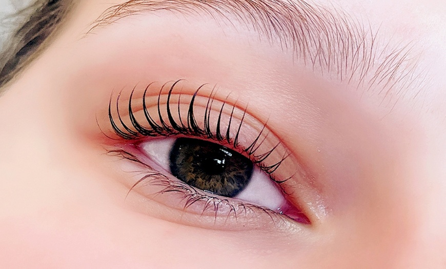 Image 3: Korean Lash Lift & Tint at Beauty Fairy   (Up To 30% Off)