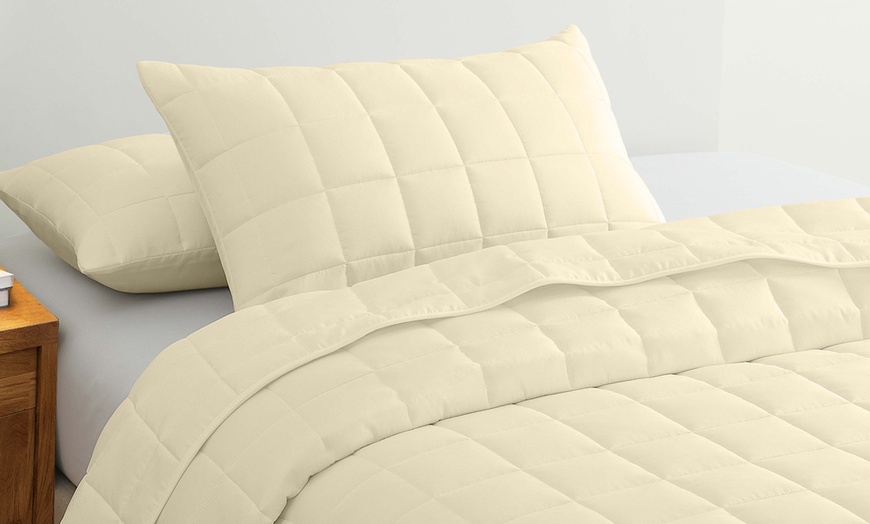 Image 3: Royal Comfort Coverlet Set - Queen - Beige-10003818