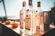 Gin, Rum oder Whisky: 3-stündiges Tasting für 1 - 2 Personen – ein besonderes Valentins-Date (bis 27% sparen) - Second Medium