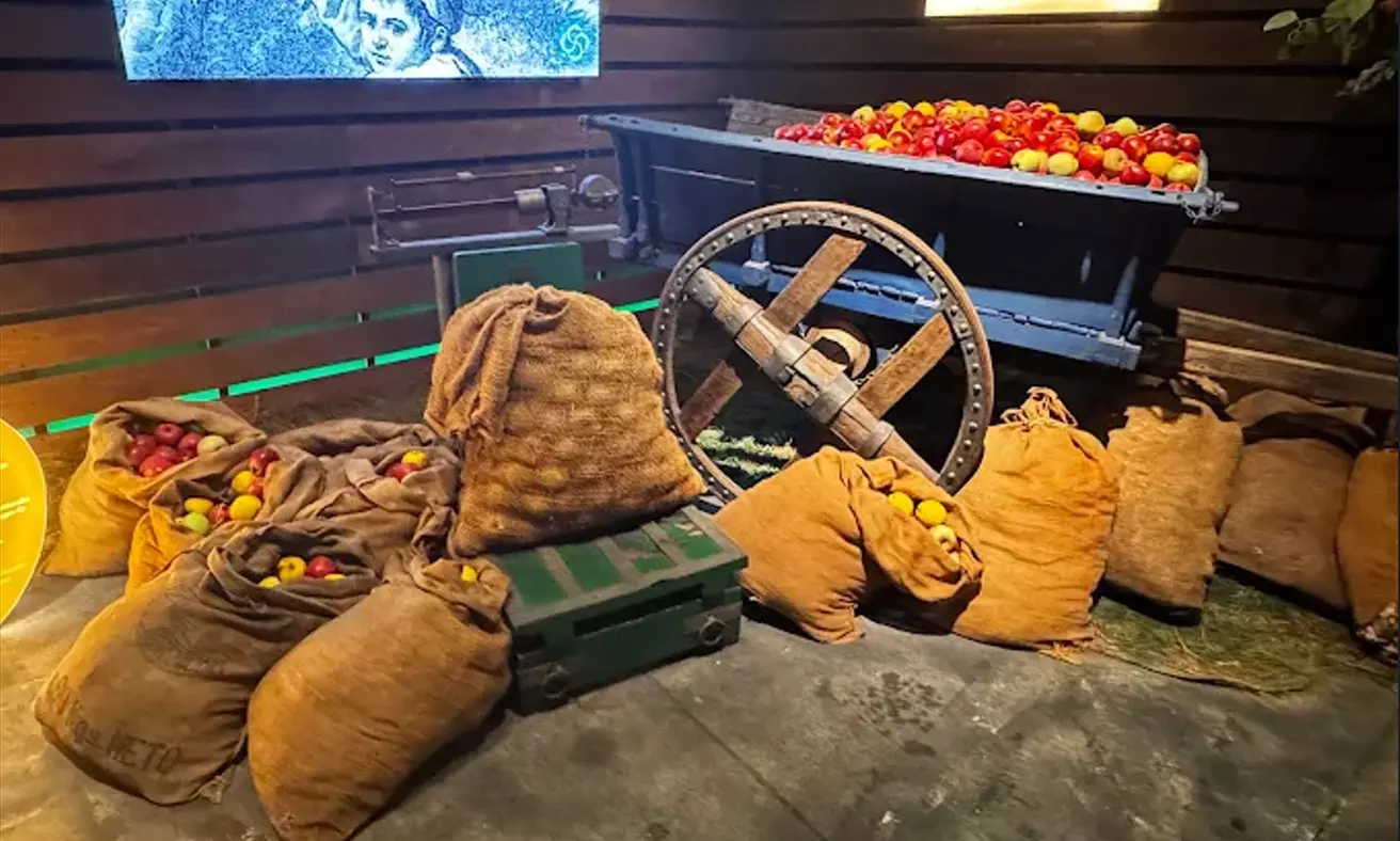 Visita al Museo de la Sidra y cata con aperitivos y pack regalo