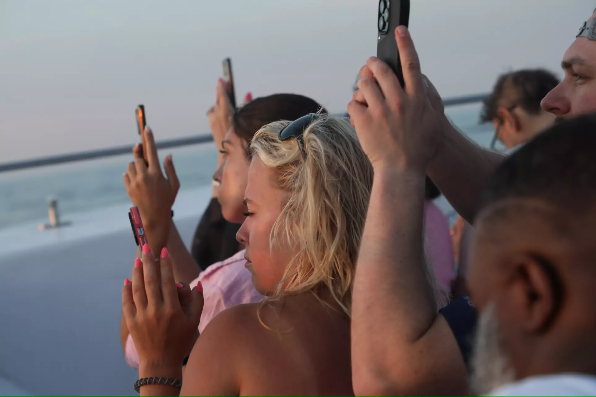 Dolphins, Speed & Sunsets—Cruises for All Ages!