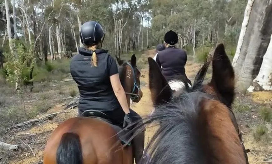 Image 6: Up to 50% Off on Horse Back Riding - Recreational at Green Gables Stables