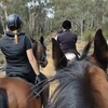 Image 6: Up to 50% Off on Horse Back Riding - Recreational at Green Gables Stables