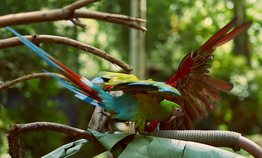 Image 23: ✈ 12-Day Ultimate Costa Rica RoadTrip w/ Air, Hotel & Car from Worldee