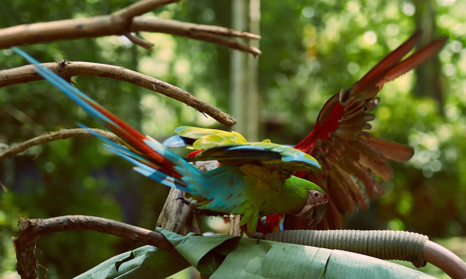 ✈ 12-Day Ultimate Costa Rica RoadTrip w/ Air, Hotel & Car from Worldee