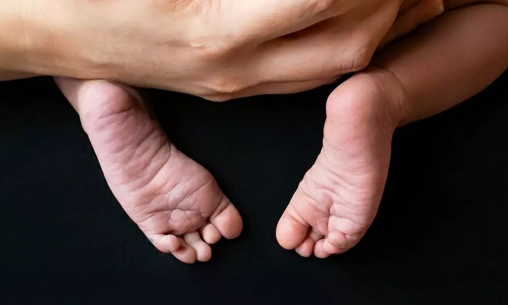 Outdoor Photography Sessions with Edited Digital Images