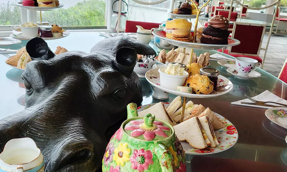 Delight in Prosecco Afternoon Tea for 2, 3, or 4 with Scenic Backdrop