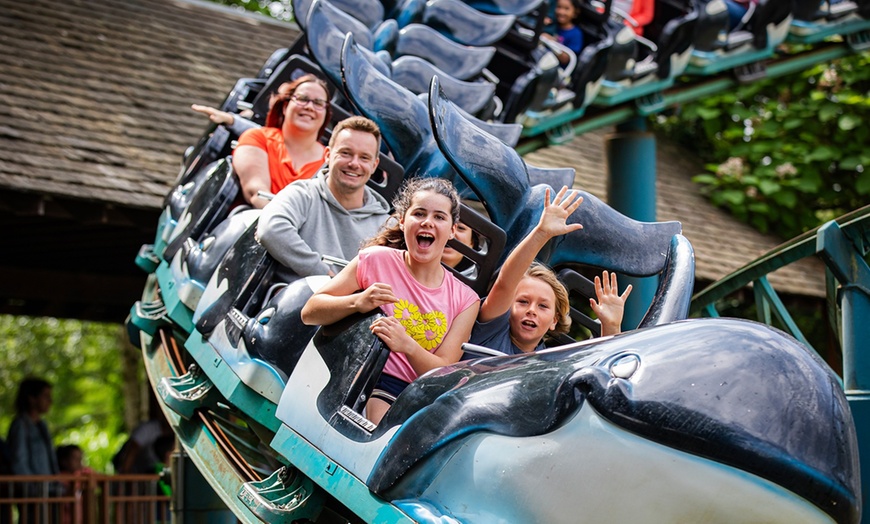 Image 4: Une journée magique au delphinarium de Boudewijn Seapark