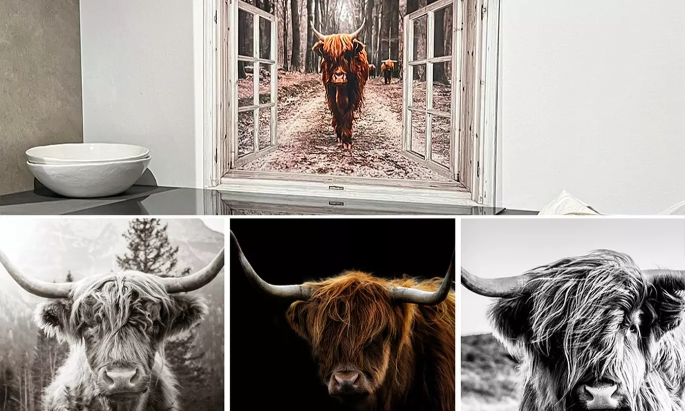 Aluminium spatscherm voor in de keuken