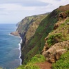 Image 2: ✈ 6-Day Madeira: Explore Portugal's Garden Island with Flights and Car