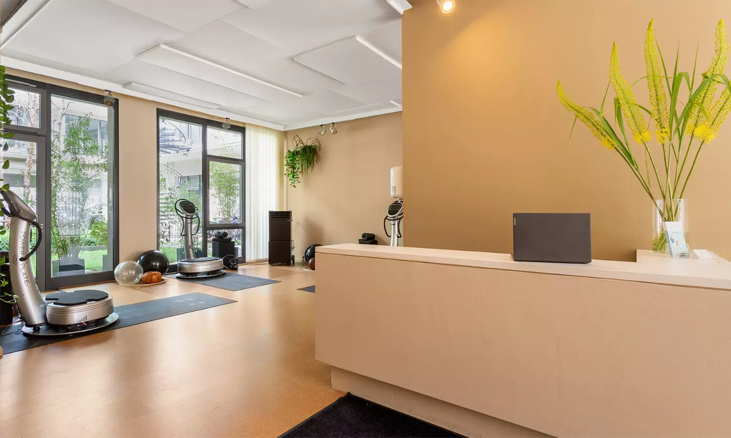 Power-Angebote für deinen Körper: Vibrationstraining & Wellness-Pakete