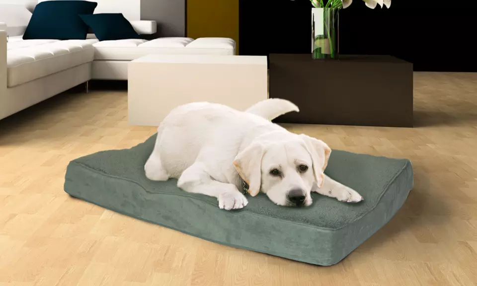 Deluxe Orthopedic or Memory-Foam Pet Bed - Primary Image